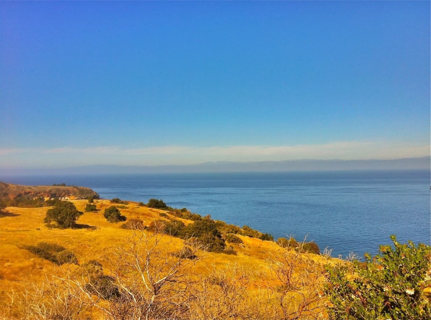 Santa Cruz Coastline
