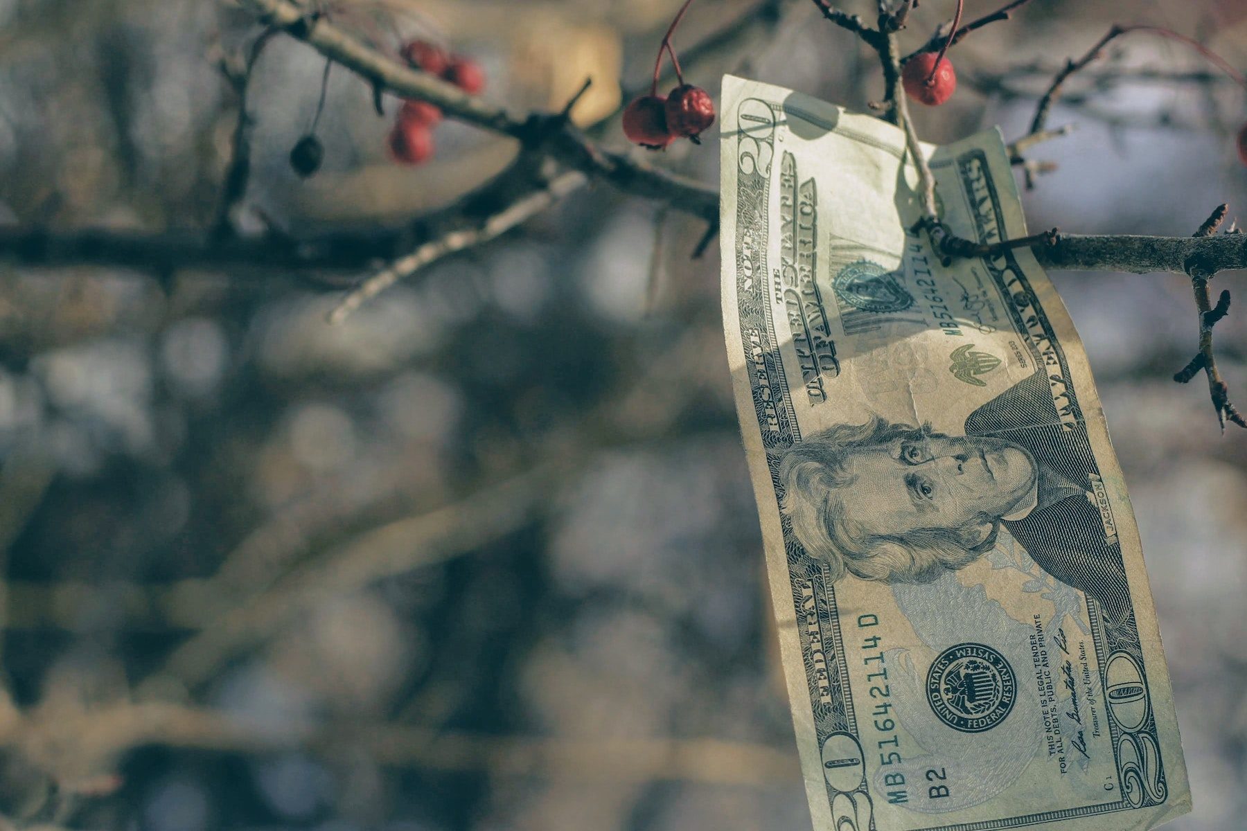 Historically Low Interest Rates